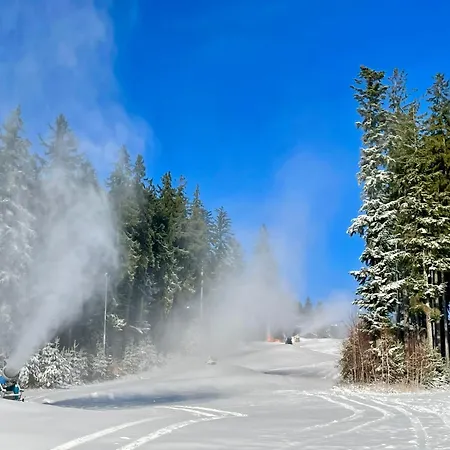 Výhledna Lipno Korzo Apartmán Lipno nad Vltavou